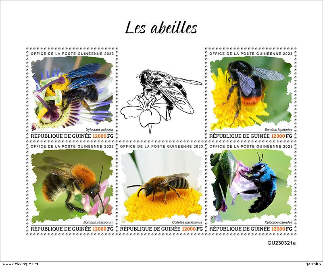 Guinea 2023, Animals, Bees, 5val In BF - Abeilles