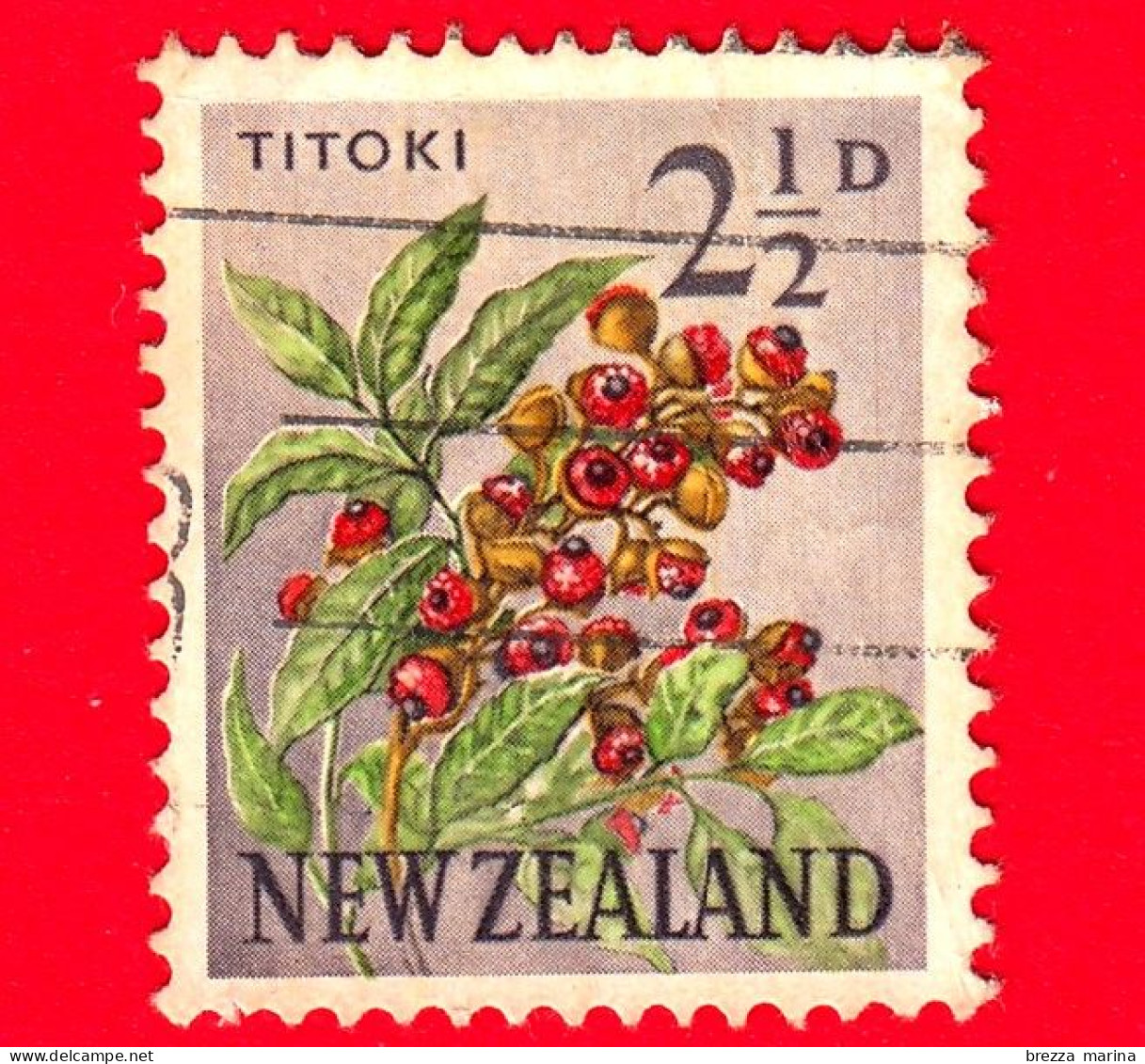 NUOVA ZELANDA - Usato - 1961 - Fiori - Frutta E Bacche - Titoki / Quercia Della Nuova Zelanda (Alectryon Excelsus) - 2 ½ - Usados