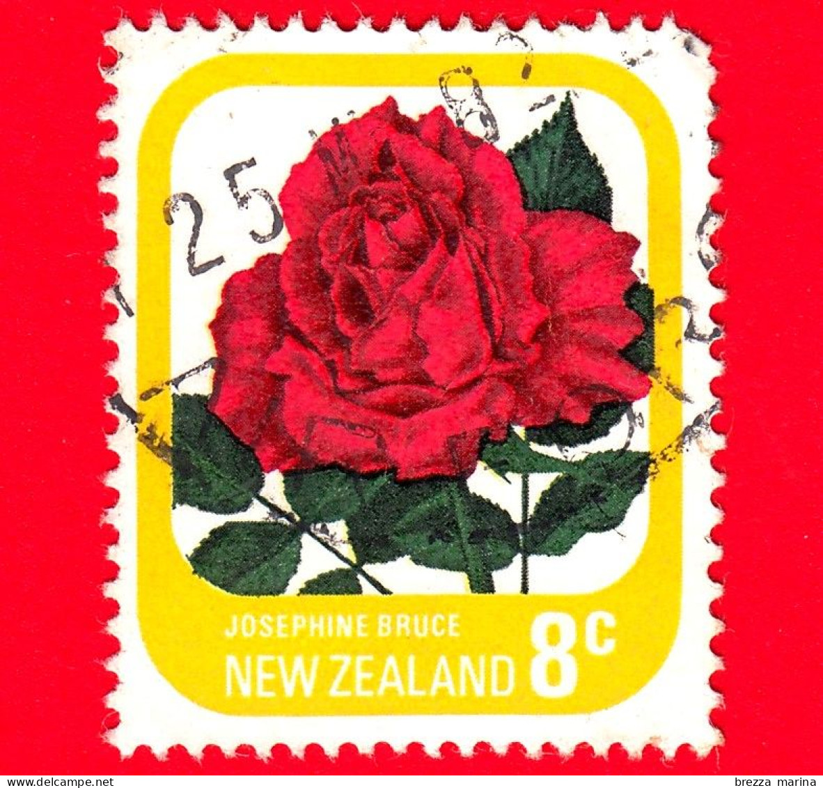 NUOVA ZELANDA - Usato - 1975 - Fiori - Flowers - Rosa - Rose Josephine Bruce - 8 - Usados