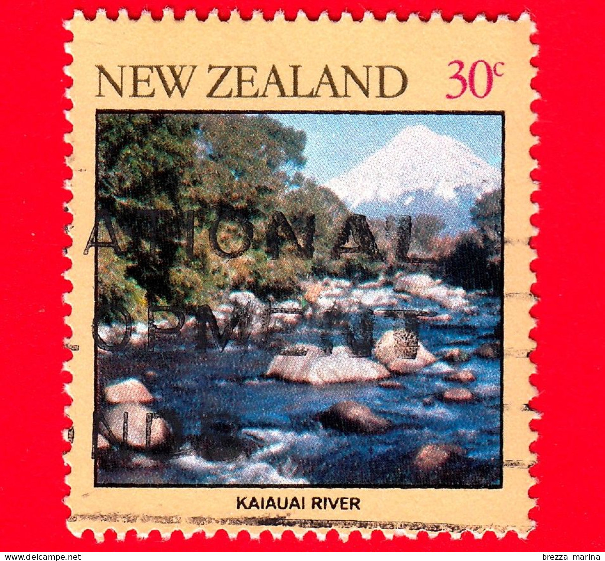 NUOVA ZELANDA - Usato - 1981 - Fiumi - Paesaggi - Fiume Kaiauai - River - 30 - Usati