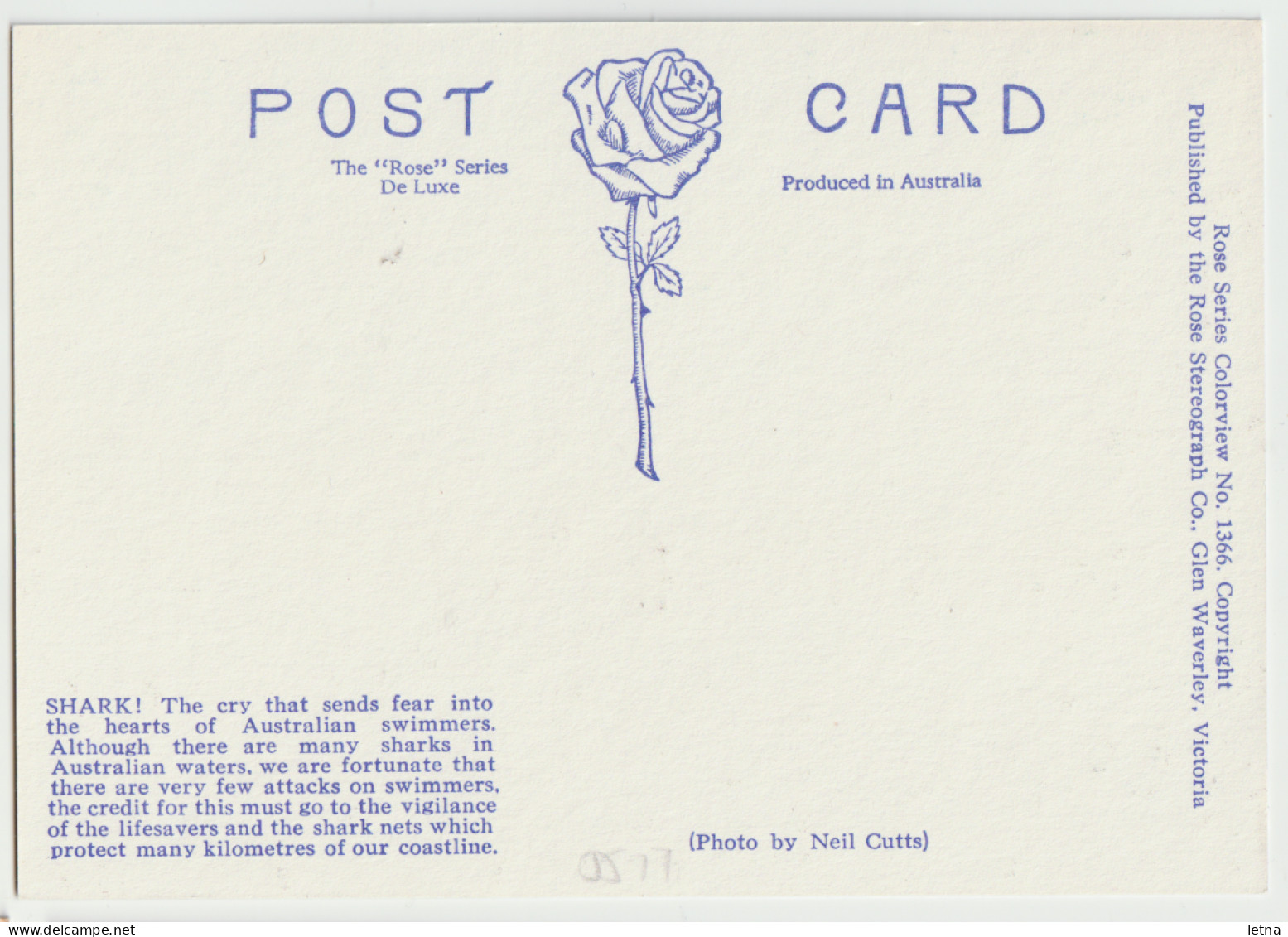 Australia VICTORIA VIC Sharks Rose Series No.1366 Postcard C1970s - Altri & Non Classificati
