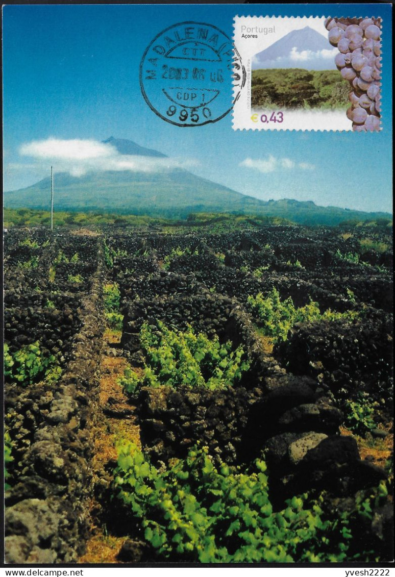 Portugal Açores 2003 Y&T 486 Sur Carte Maximum. Île De Pico, Zone Classifiée De Vigne Et Montagne - Vinos Y Alcoholes