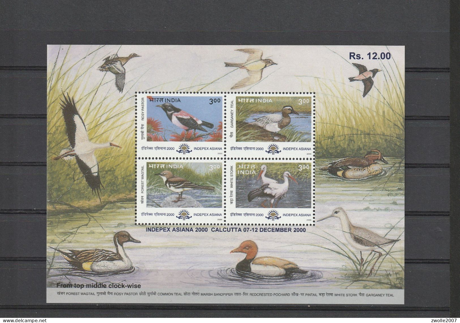 INDIA 2000 INDEPEX Birds  MINIATURE SHEET MNH - Unused Stamps