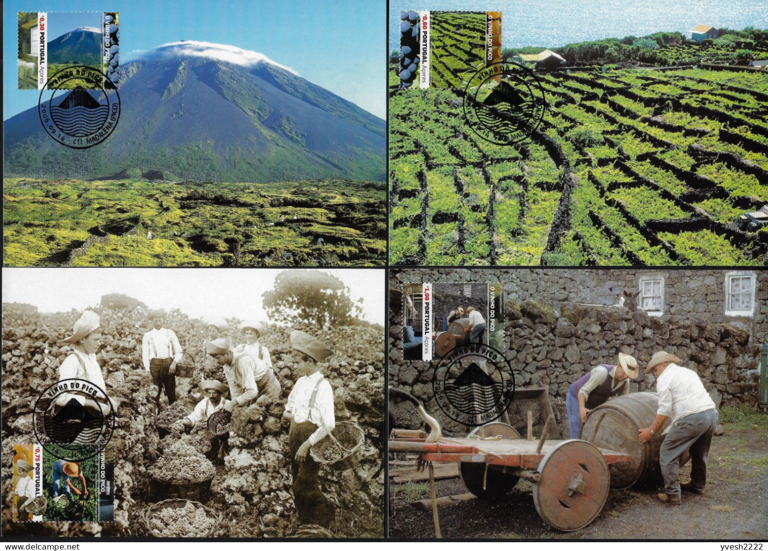 Portugal Açores 2006 Y&T 513 à 516 Sur Cartes Maxima. Île De Pico, Son Vignoble. Volcan, Vendangeur, Hommes Et Fût - Vinos Y Alcoholes