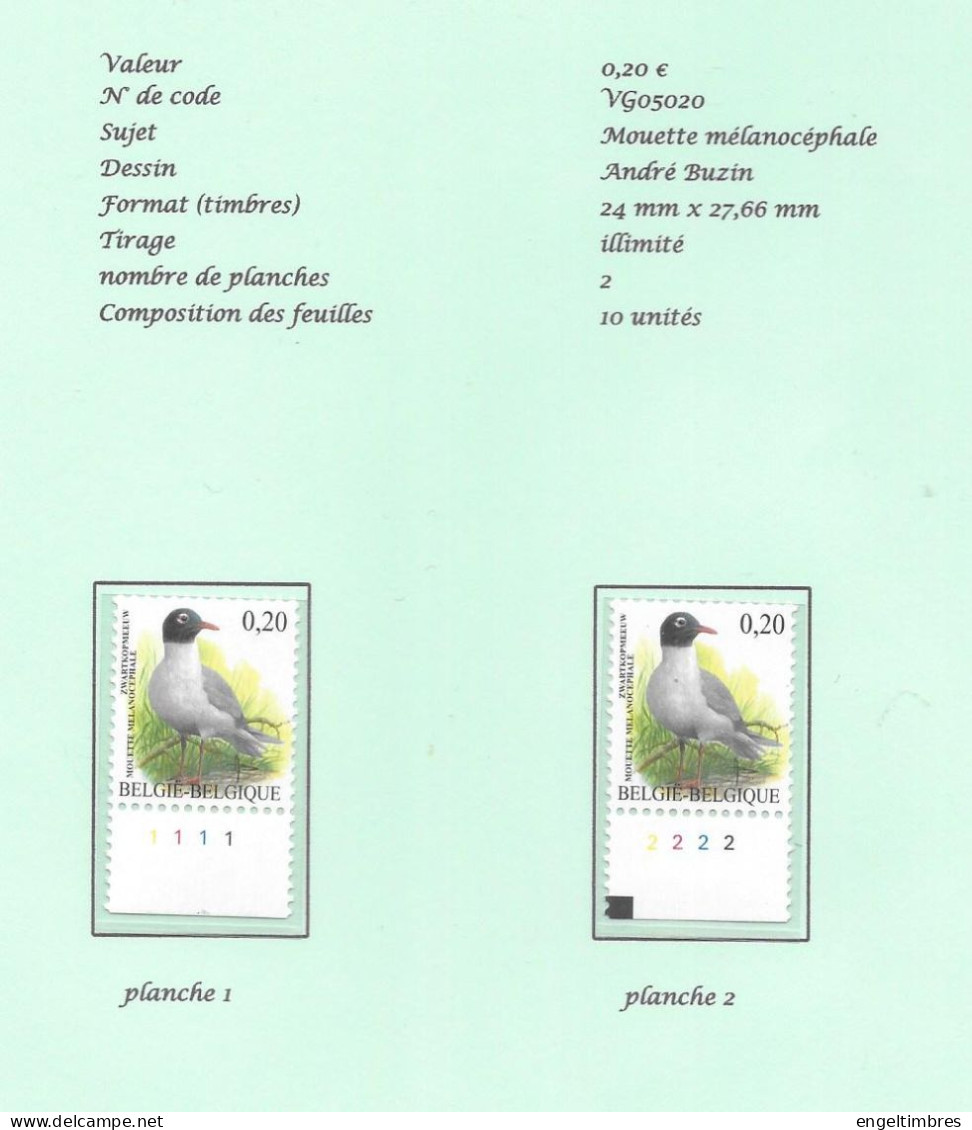 Belgium -  2005 BUZIN Birds - 0,20€  ZWAARTKOOMEEUW/MOUETTE MéLANOCéPHALE  Plaatnummers 1 - 2 Postfris - Zie Scan - 2011-..