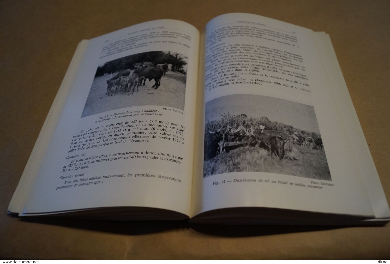 Congo Belge Et Ruanda-Urundi,268 Pages,Bulletin Agricole,24 Cm. Sur 16 Cm.1960 - Andere & Zonder Classificatie