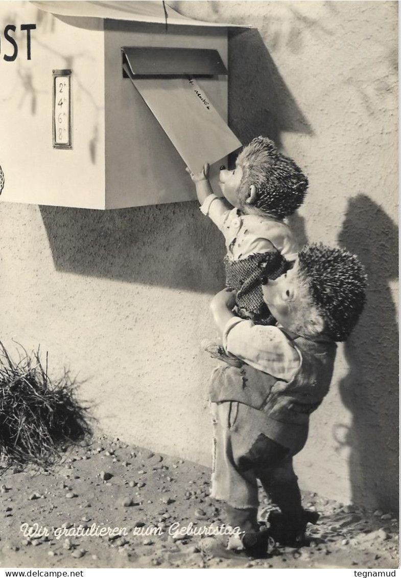 MECKI - VON DIEHL - FILM Und Redaktionsigel Von HOR ZU - 9 Cartes Postales - Mecki