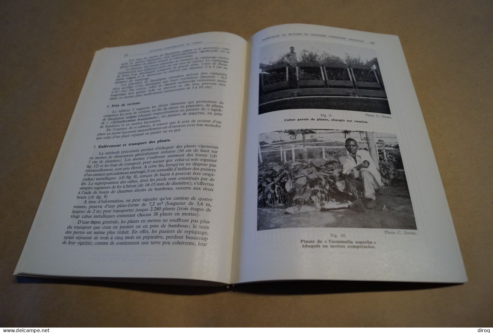 Congo Belge Et Ruanda-Urundi,344 Pages,Bulletin Agricole,24 Cm. Sur 16 Cm.1960 - Andere & Zonder Classificatie