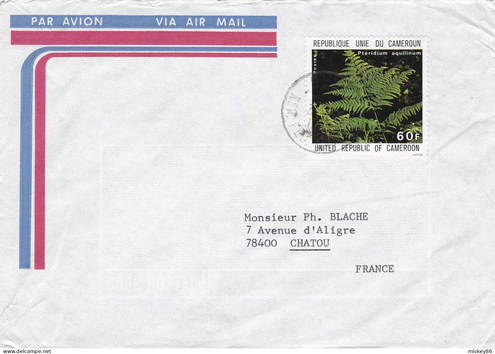 CAMEROUN-1980--Lettre De BUEA  Pour CHATOU (France)..timbre " Fougère " Seul  Sur Lettre..cachets - Cameroon (1960-...)