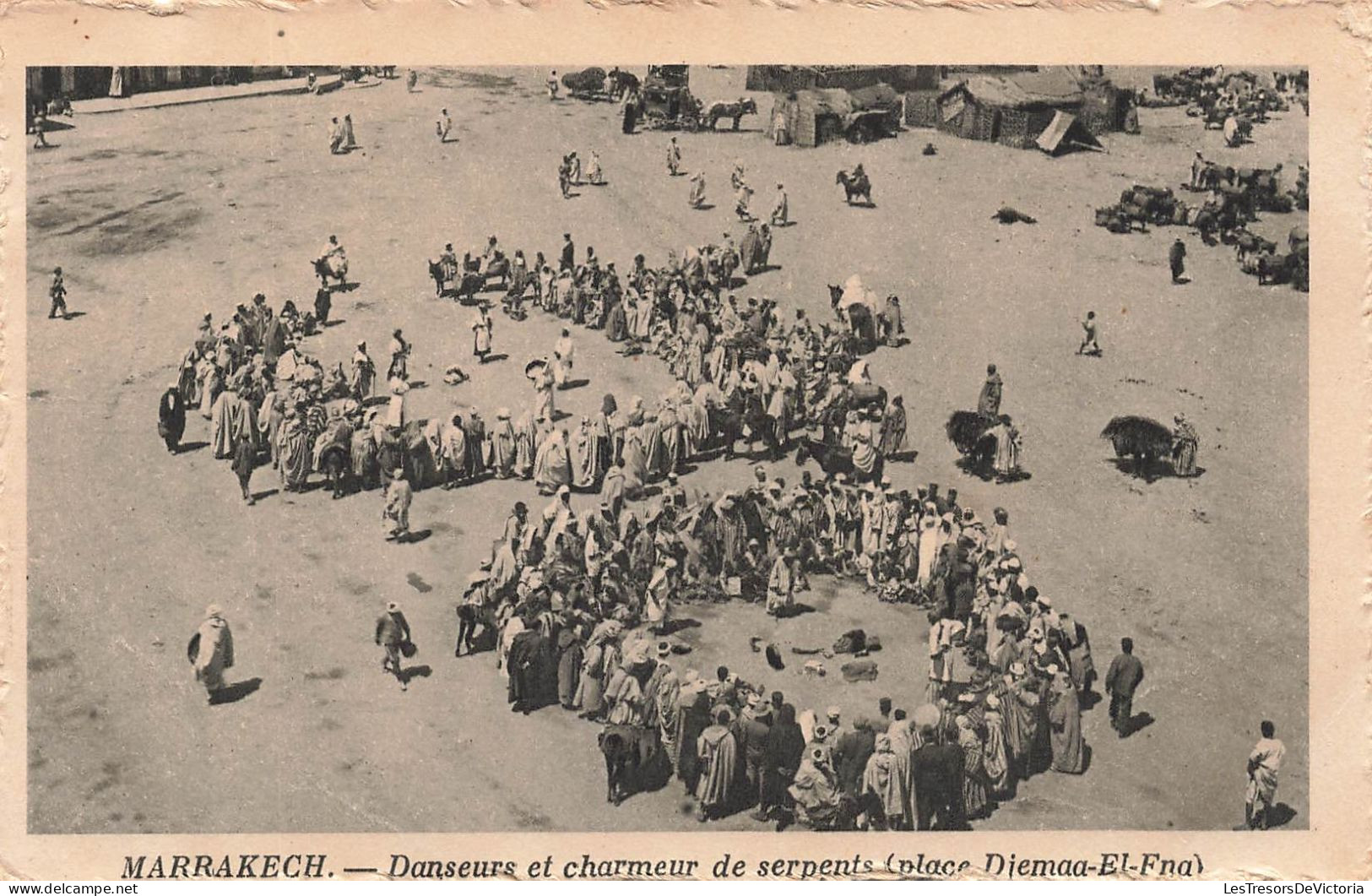 MAROC - Marrakech - Danseurs Et Charmeurs De Serpents - Place Djemaa-El-Fna  - Carte Postale Ancienne - Marrakech