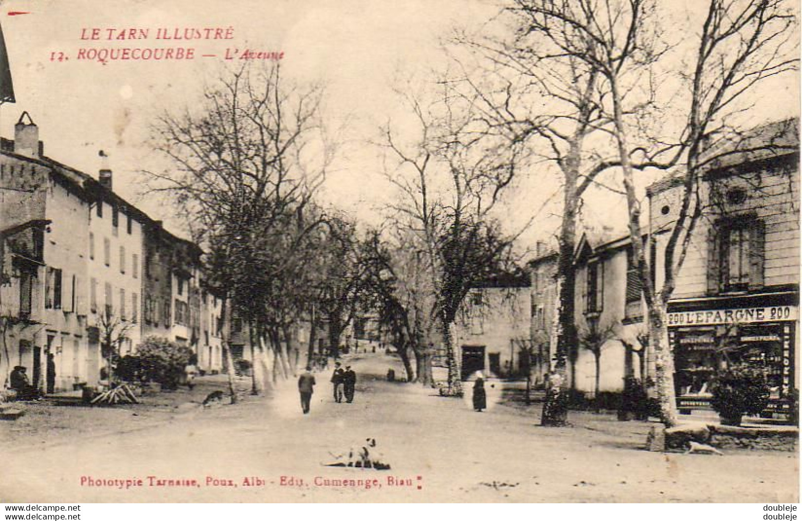 D81   ROQUECOURBE   L'Avenue - Roquecourbe