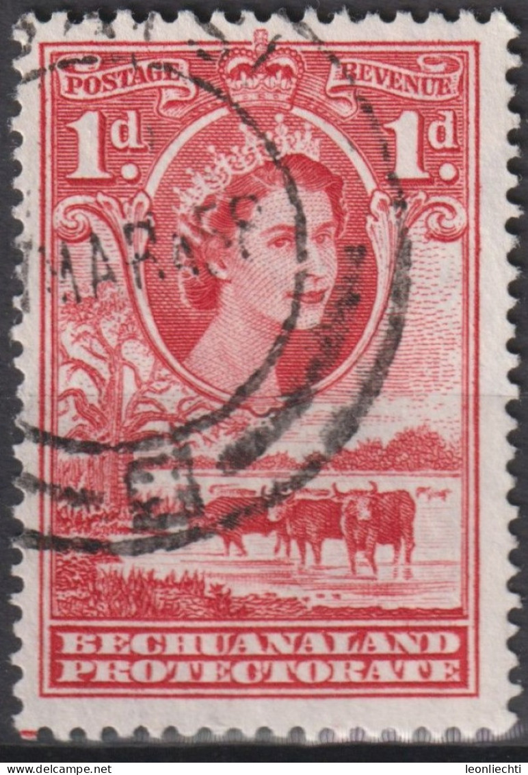 1955 Bechuanaland ° Mi:GB-BE 130, Sn:GB-BE 155, Yt:GB-BE 94, Queen Elizabeth II, Cattle (Bos Primigenius Taurus) - 1885-1964 Protectorado De Bechuanaland