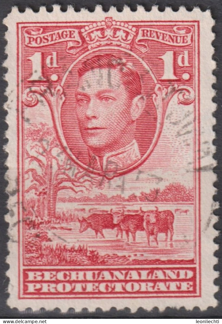 1938 Bechuanaland ° Mi:GB-BE 102, Sn:GB-BE 125, Yt:GB-BE 66, George VI, Cattle (Bos Primigenius Taurus) - 1885-1964 Bechuanaland Protettorato