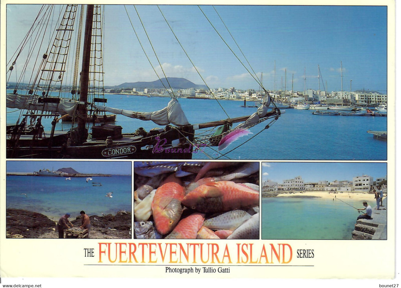 CP ESPAGNE FUETEVENTURA Corralejo Puerto Y Pesca Bateau Boat Poisson Fish Plage  Grand Format - Fuerteventura