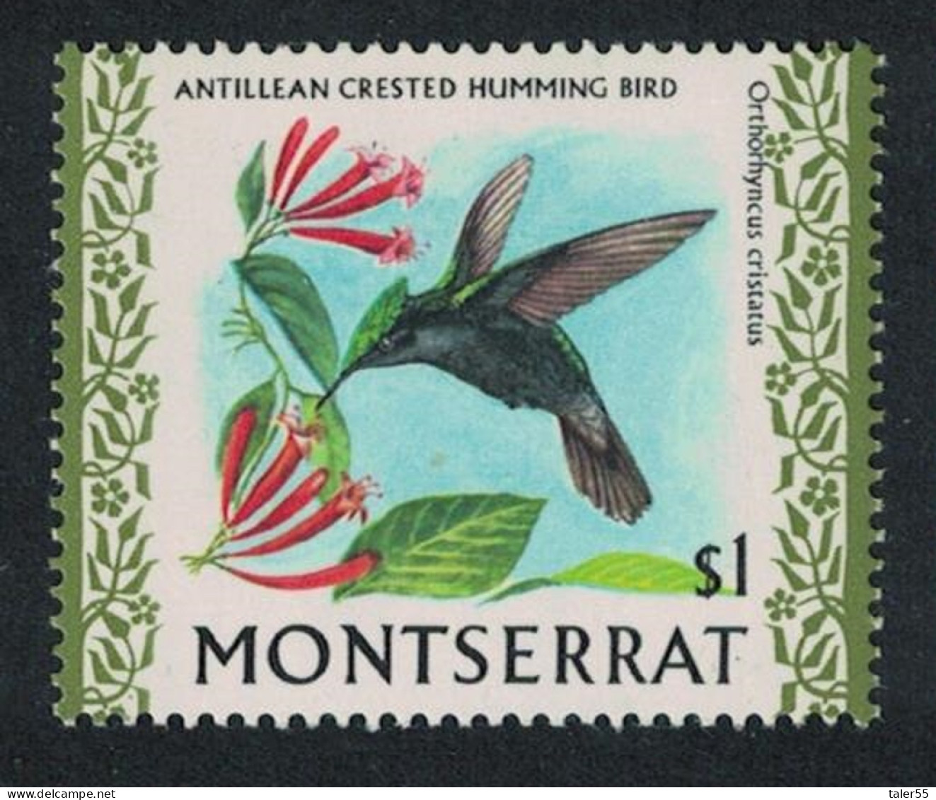 Montserrat Antillean Crested Hummingbird Bird $1 Glazed Ordinary Paper 1971 MNH SG#252b - Montserrat