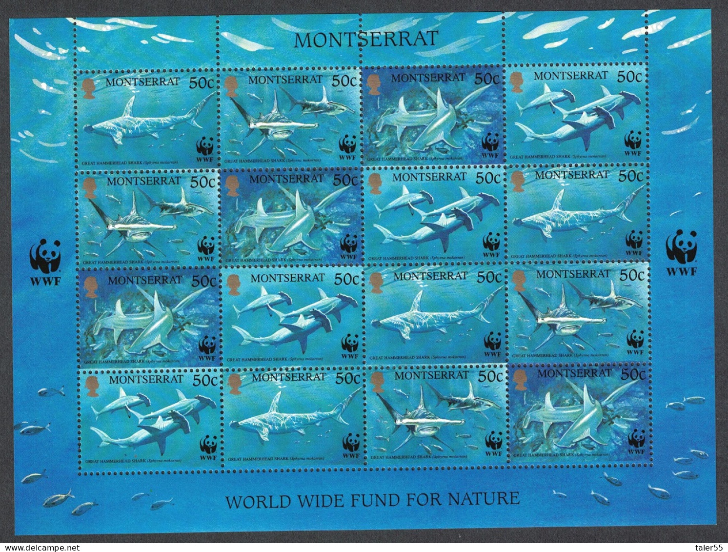 Montserrat WWF Great Hammerhead Shark Sheetlet Of 4 Sets 1999 MNH SG#1148-1151 MI#1109-1112 Sc#998 A-d - Montserrat