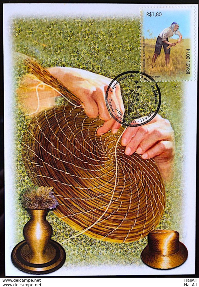Brazil Maximo Postcard Golden Grass Tocantins 2014 CBC TO - Cartoline Maximum
