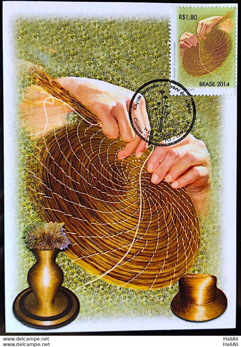 Brazil Maximo Postcard Golden Grass Tocantins 2014 CBC TO - Maximum Cards