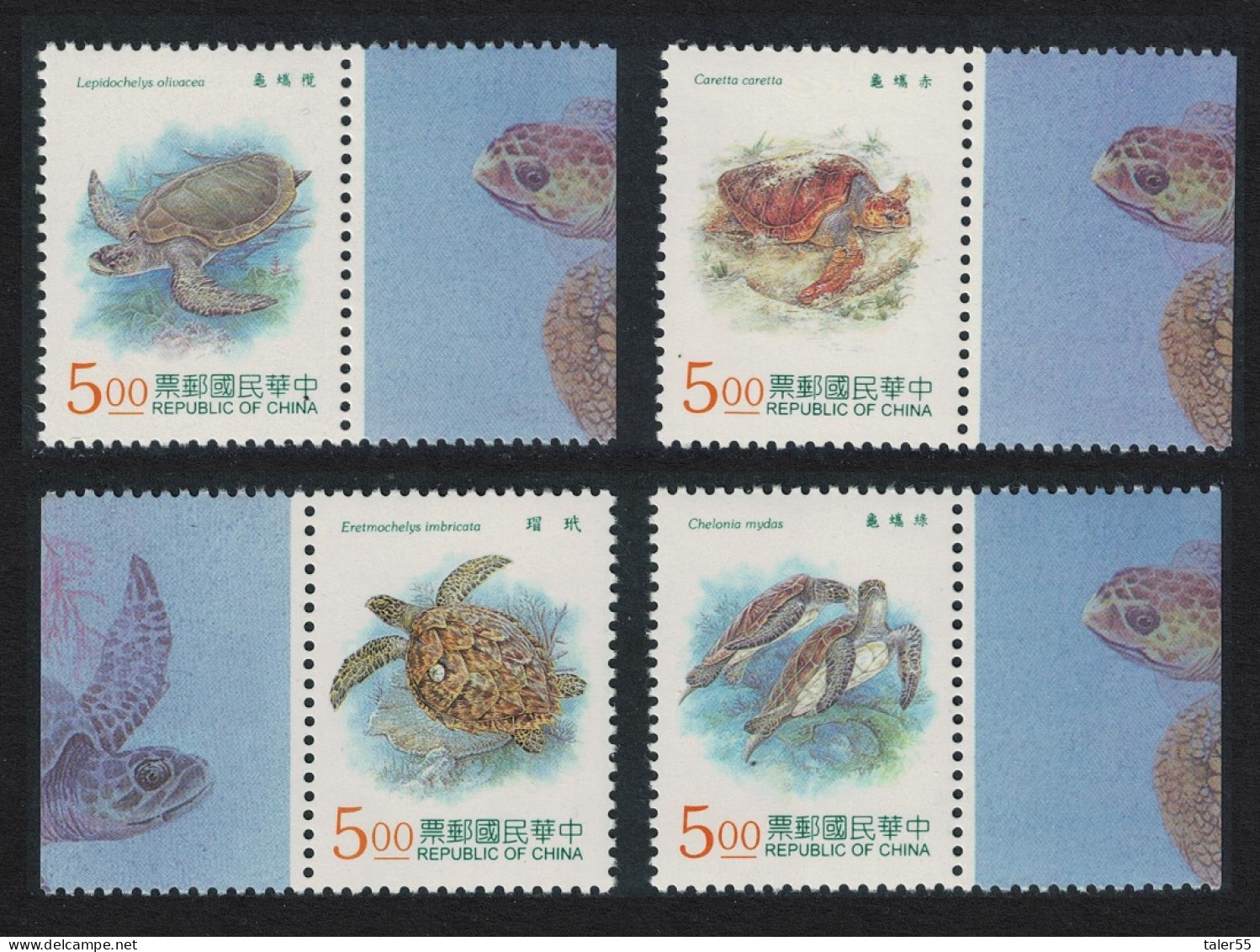 Taiwan Year Of The Sea Turtle 4v Margins 1995 MNH SG#2280-2283 - Unused Stamps