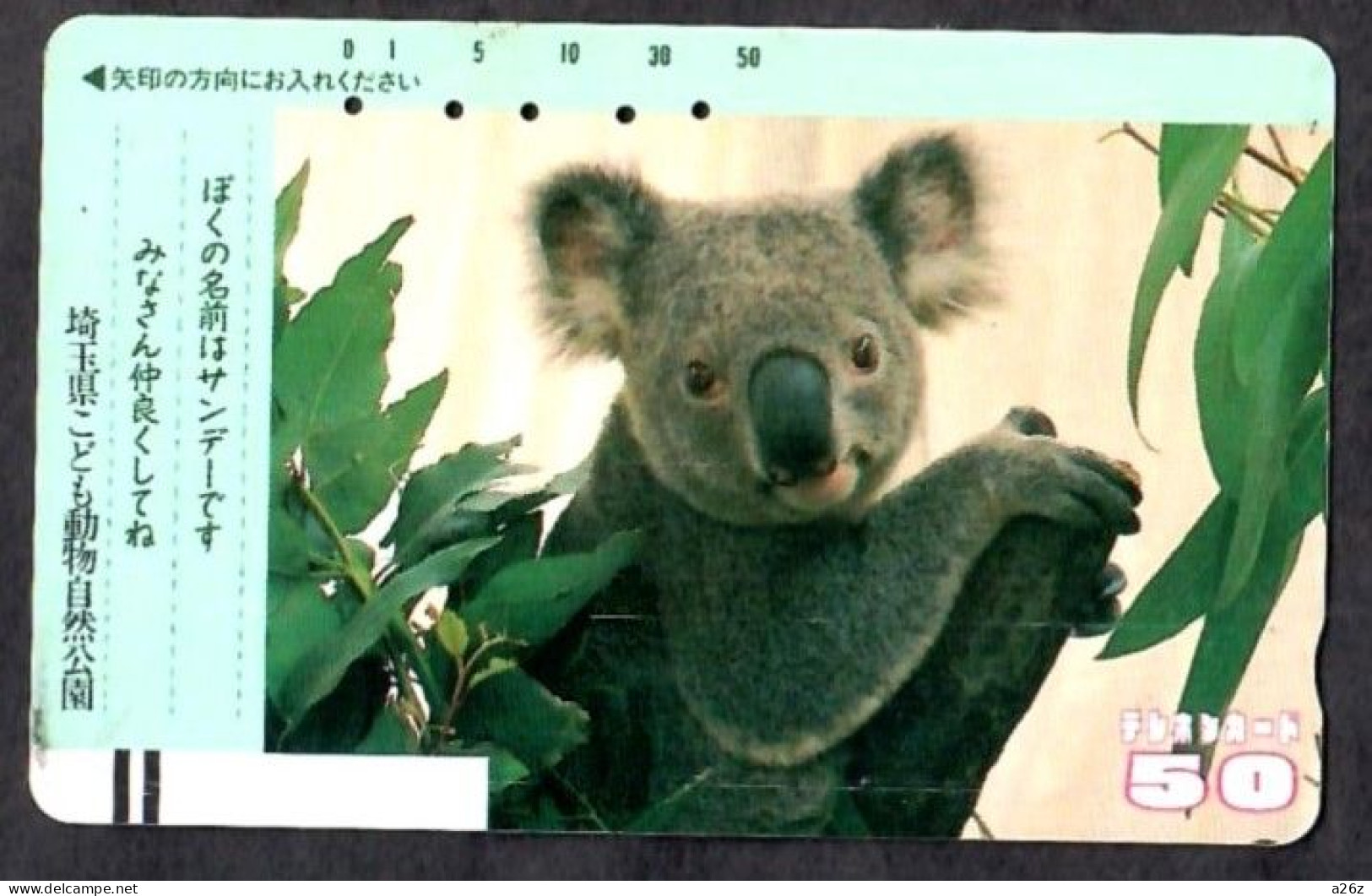 Japan 1V Koala Saitama Zoo Used Card - Giungla