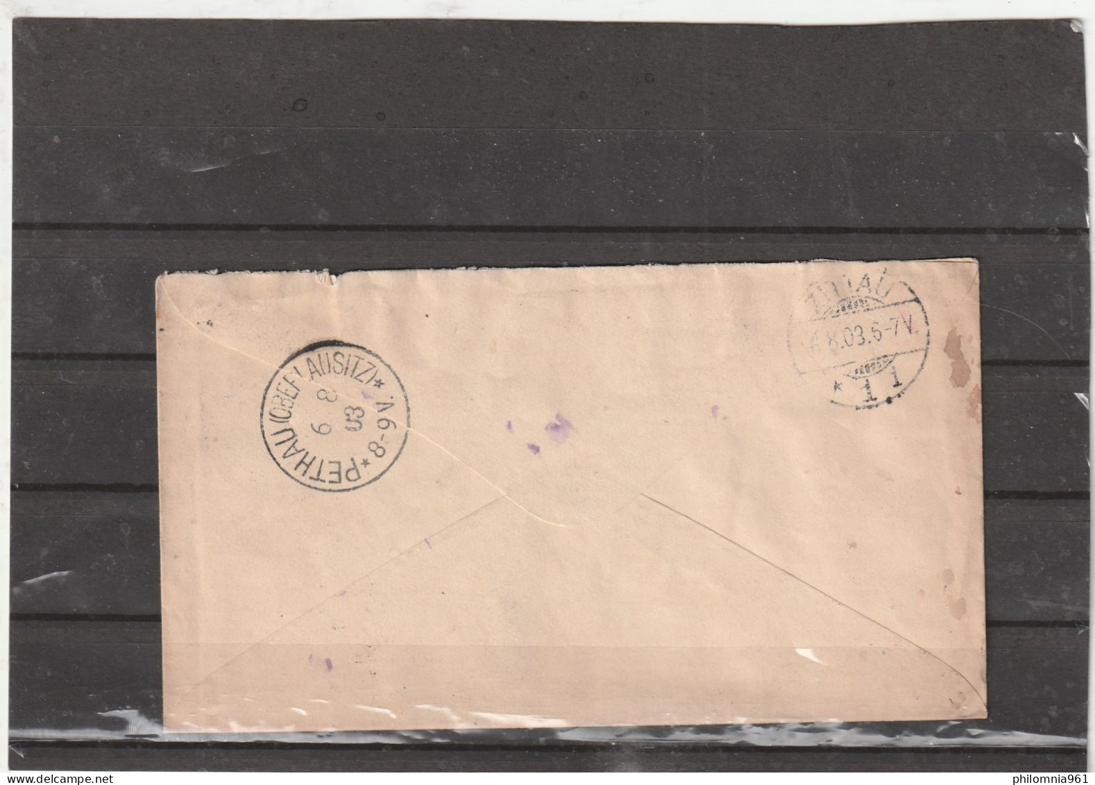 Russia COVER 1903 - Cartas & Documentos