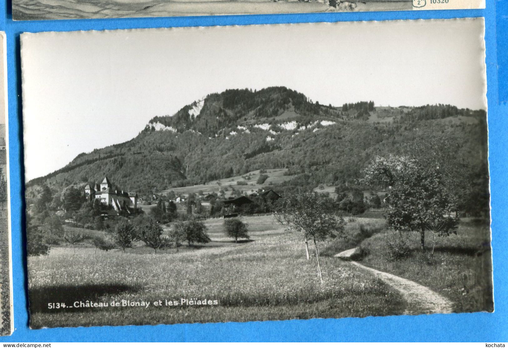 T101, Château De Blonay Et Les Pleïades, 5134, SG, Non Circulée - Blonay - Saint-Légier