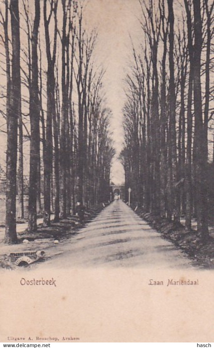 2603379Oosterbeek, Laan Mariëndaal. Rond 1900 - Oosterbeek
