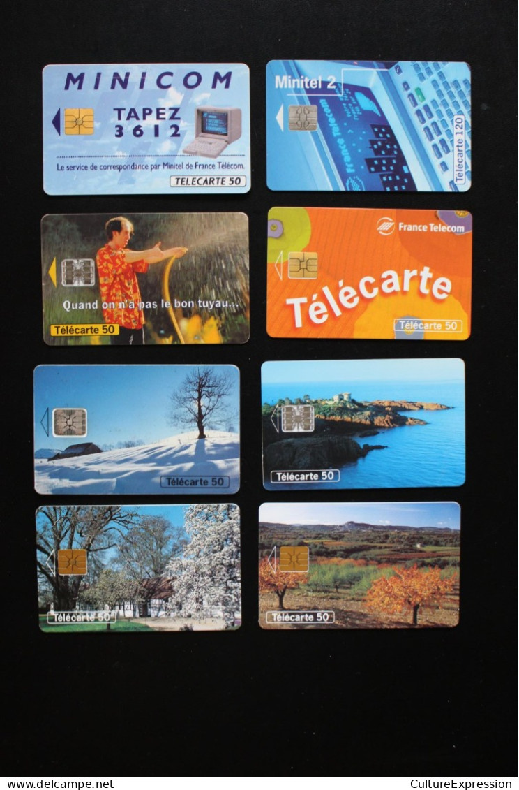 Lot De 8 Télécartes Différentes : Saisons (paysages), Minitel, Etc. - Landscapes