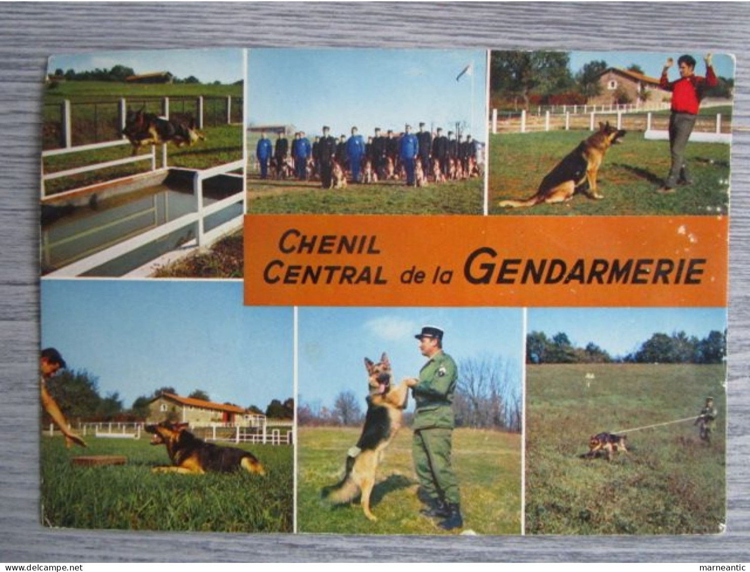 Cpa Gramat (46) Chenil Central De La Gendarmerie - Gramat
