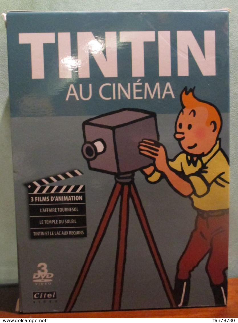 DVD - Tintin Au Cinéma - 3 Films D'animation - Citel Vidéo - Frais Du Site Déduits - Animation