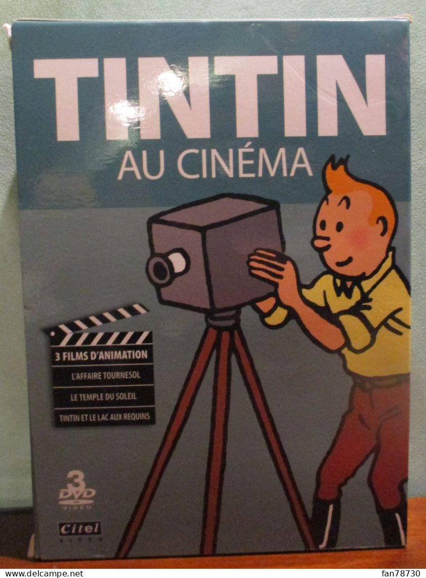 DVD - Tintin Au Cinéma - 3 Films D'animation - Citel Vidéo - Animation