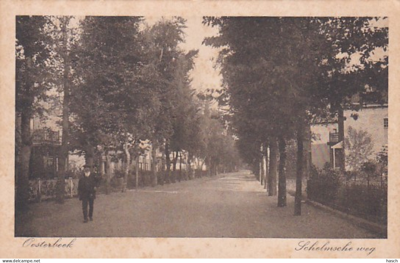 2603433Oosterbeek, Schelmsche Weg. (bruine Vlekken) - Oosterbeek