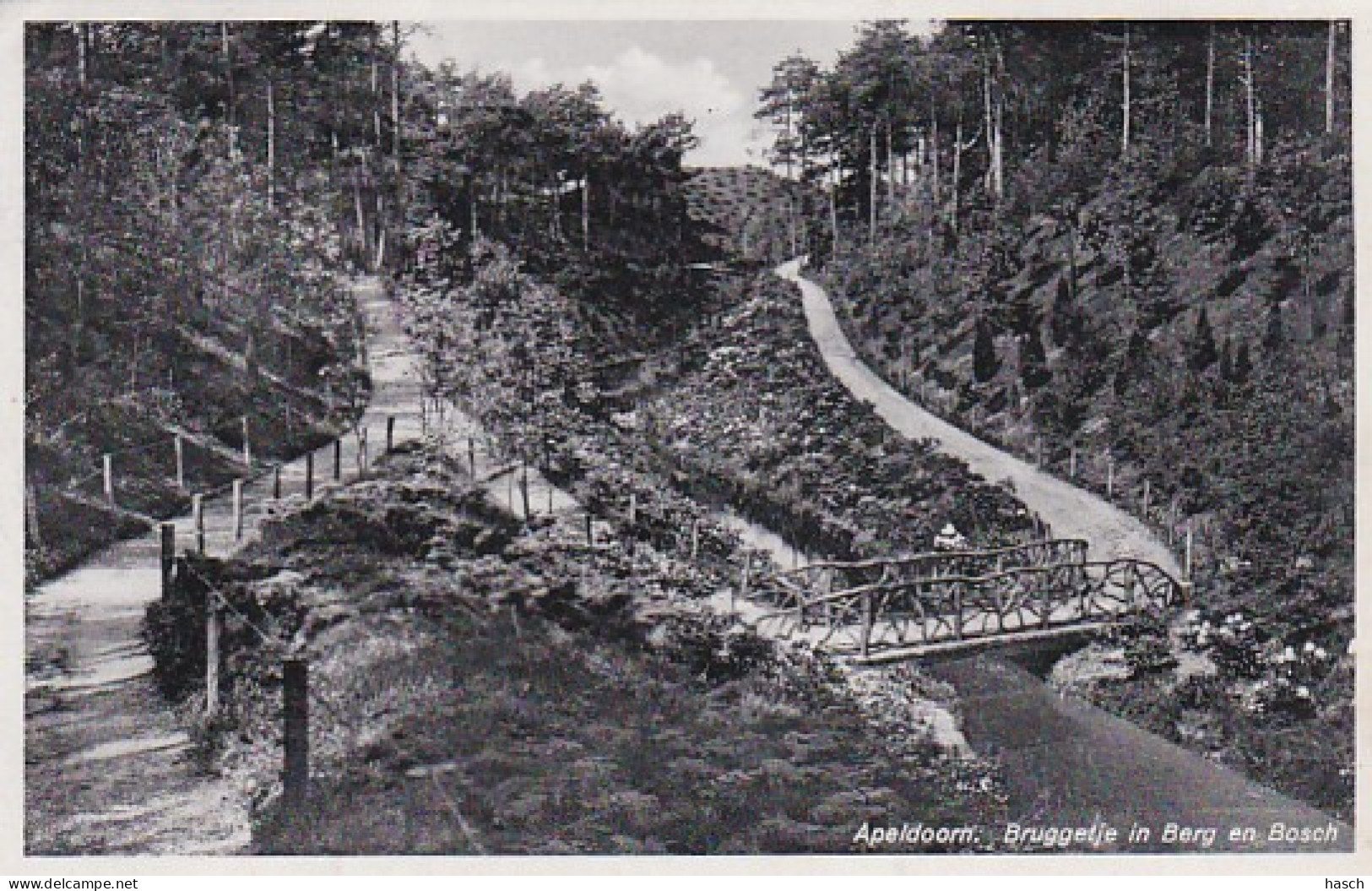 2603520Apeldoorn, Bruggetje In Berg En Bosch. - 1942. - Apeldoorn