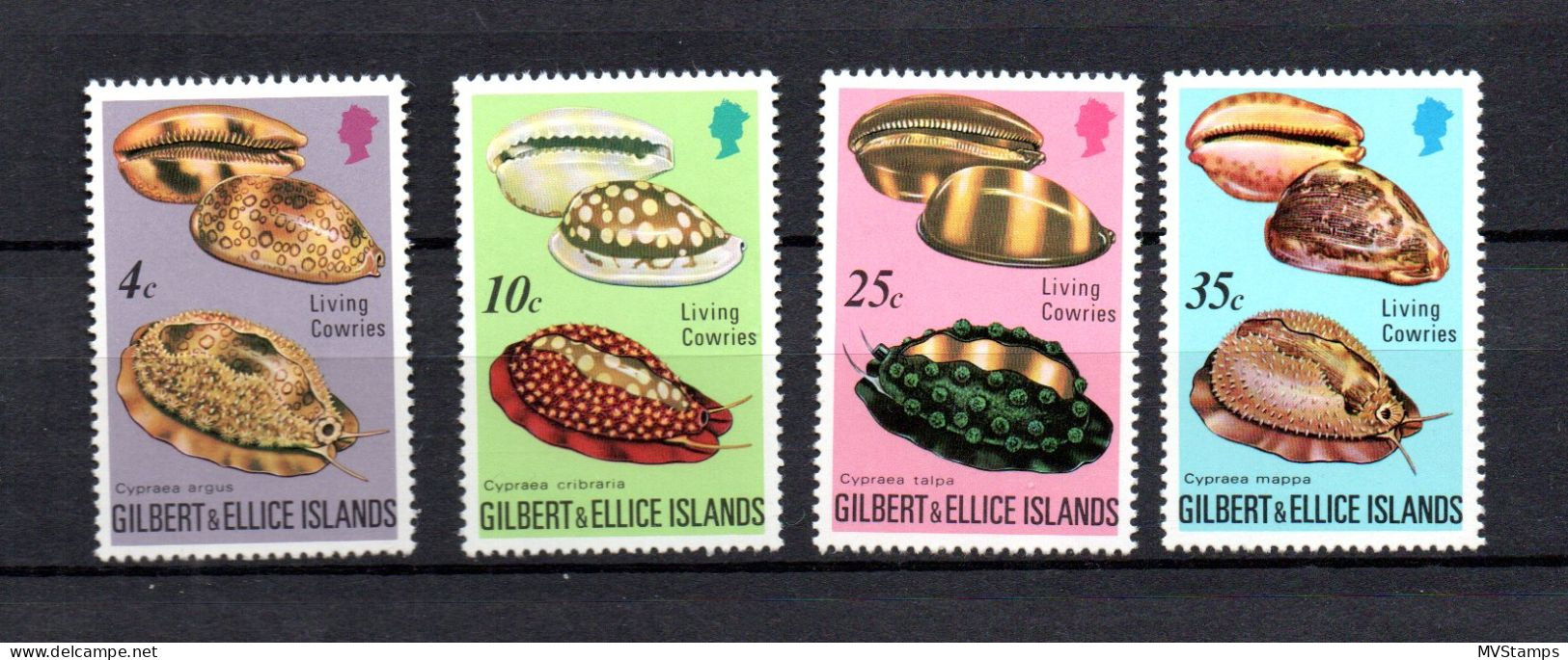 Gilbert & Ellice Islands 1975 Set Shells/sealife Stamps (Michel 236/39) MNH - Gilbert & Ellice Islands (...-1979)