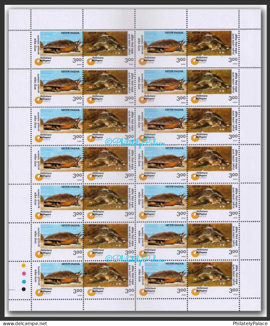 INDIA 2000 Endangered Species: Turtles (Batagur Terrapin And Olive Ridley Turtle) Setenant, Sheet MNH (**) Inde Indien - Neufs