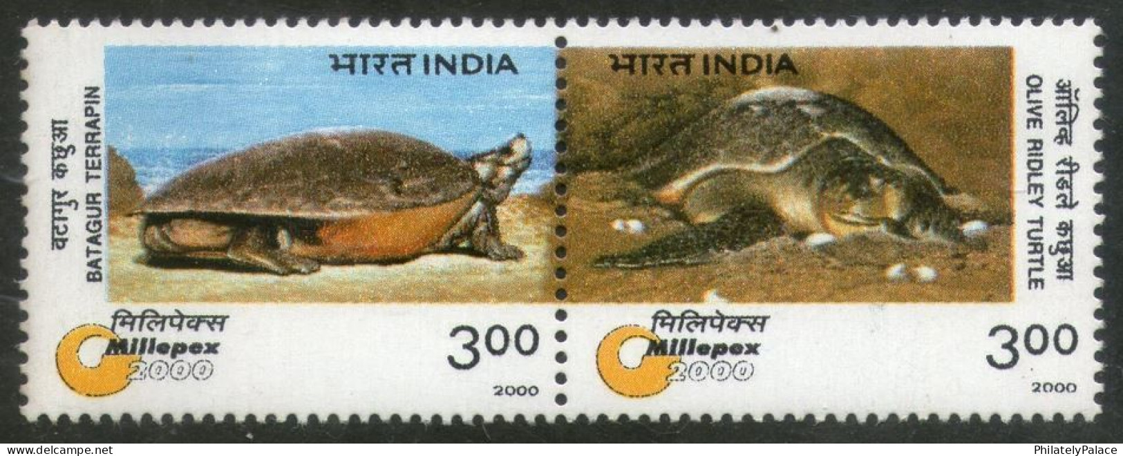 INDIA 2000 Endangered Species: Turtles (Batagur Terrapin And Olive Ridley Turtle) Setenant, Sheet MNH (**) Inde Indien - Neufs