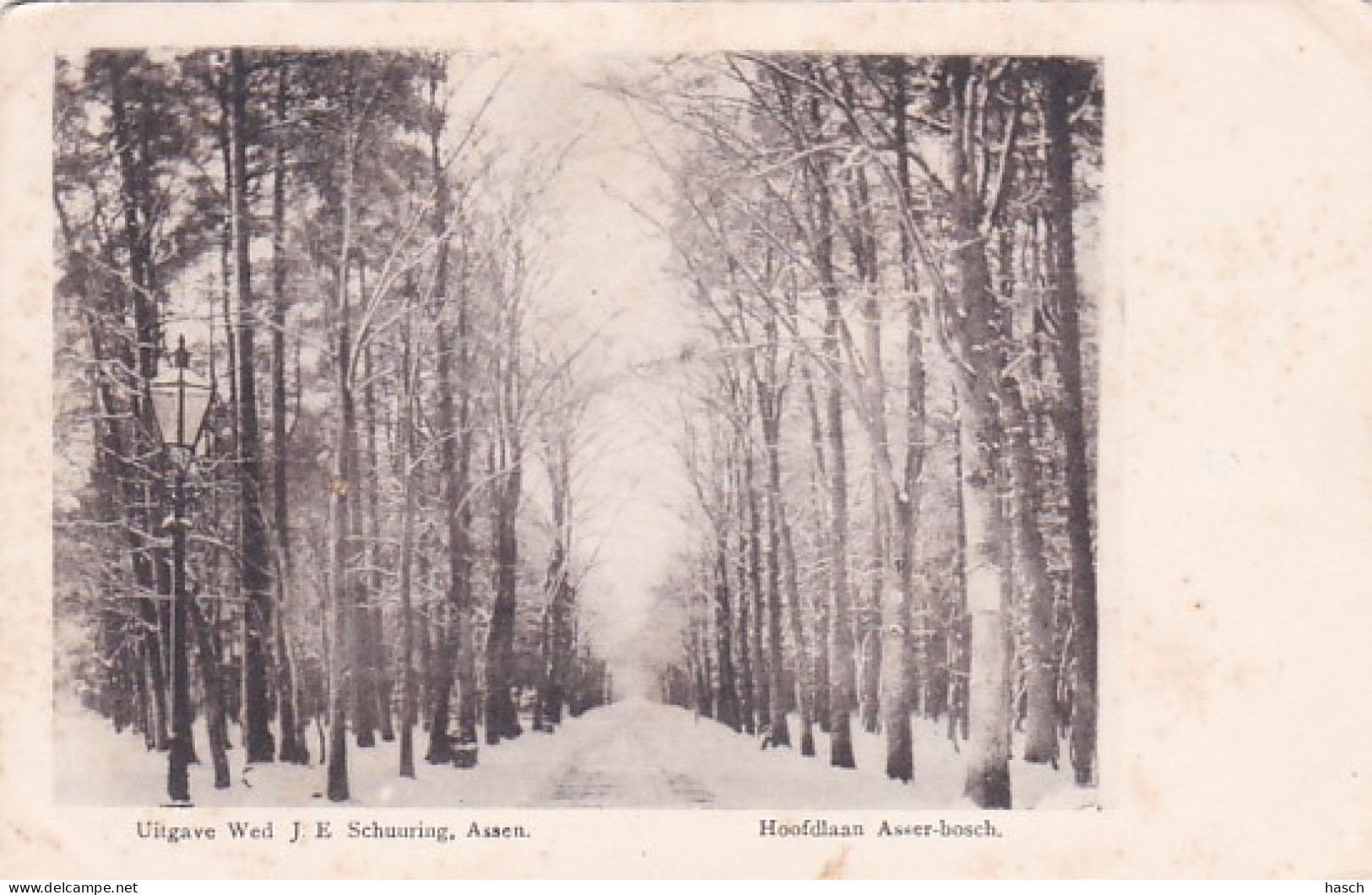 2603639Hoofdlaan Asser Bosch In De Sneeuw. Rond 1900. - Assen