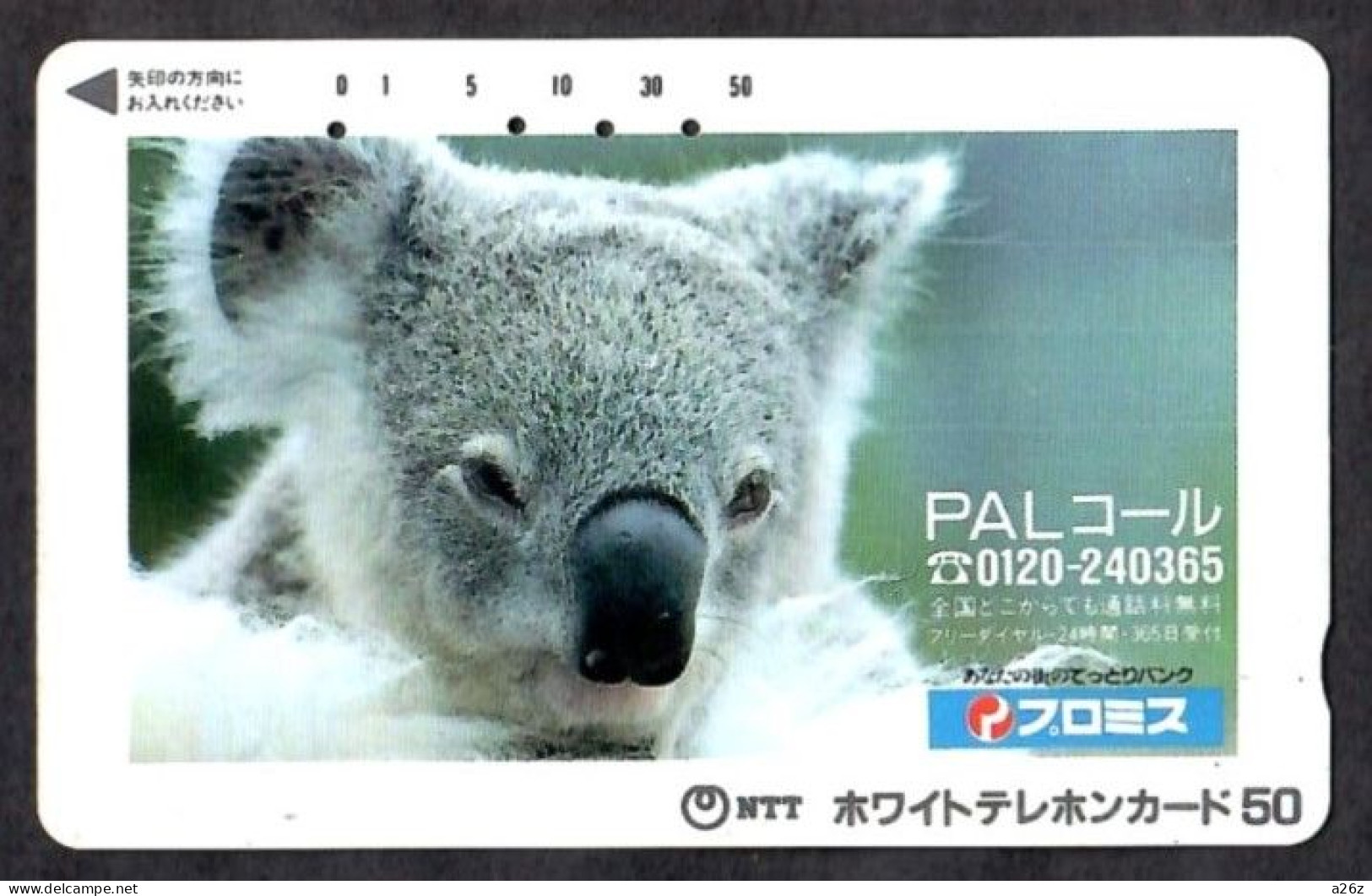 Japan 1V Koala PAL Advertising Used Card - Giungla