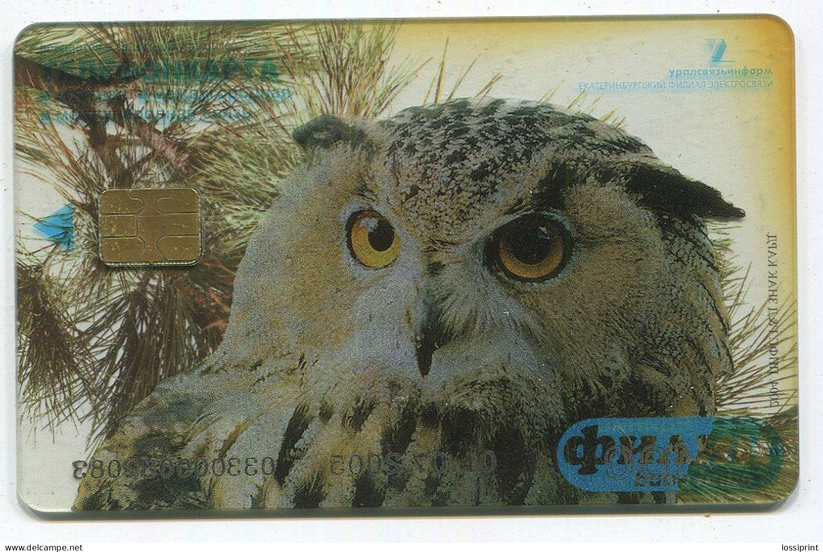 Russia:Used Phonecard, Uralsvjazinform, 100 Units, Owl, 2005 - Russia