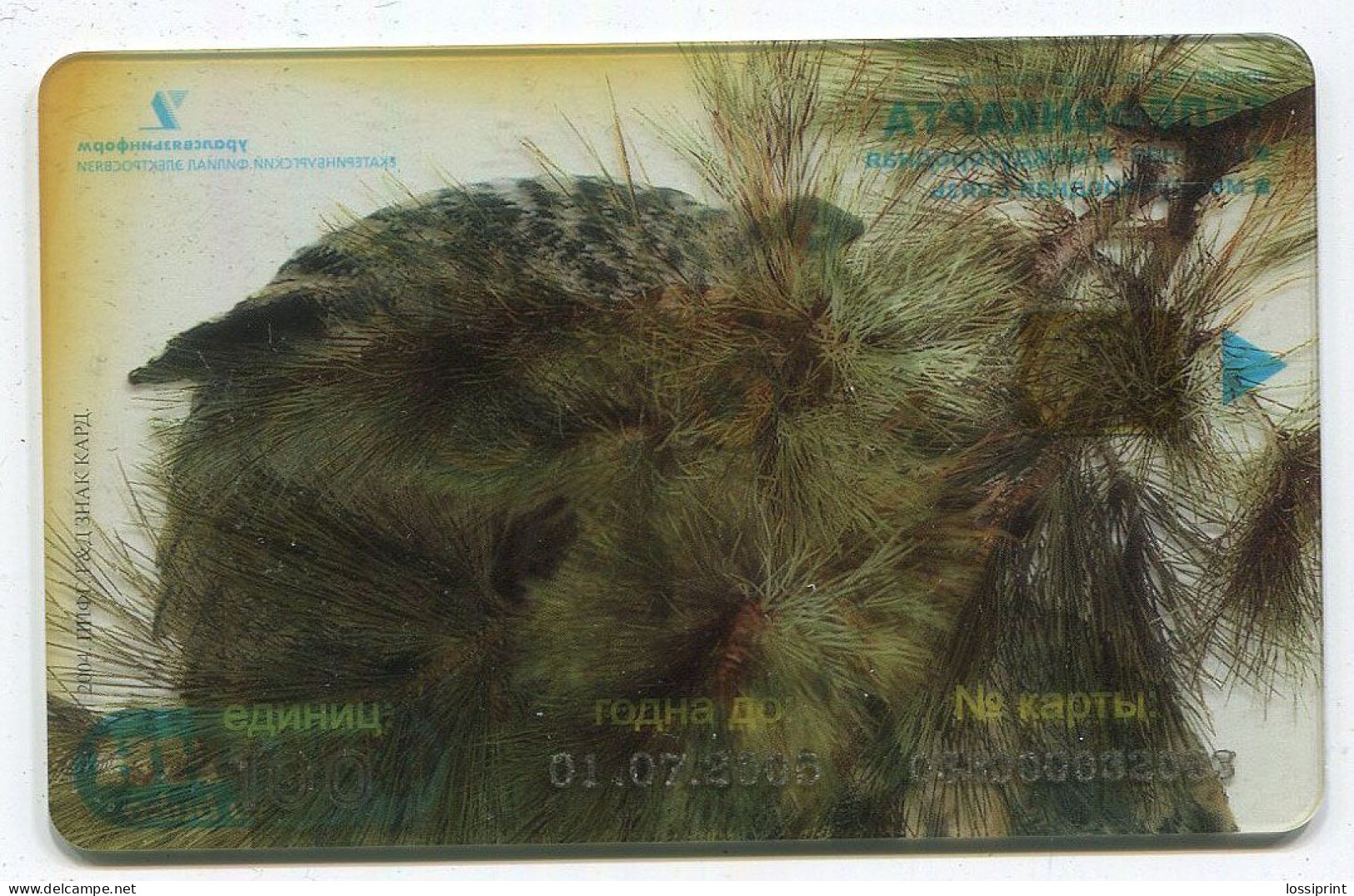 Russia:Used Phonecard, Uralsvjazinform, 100 Units, Owl, 2005 - Russie