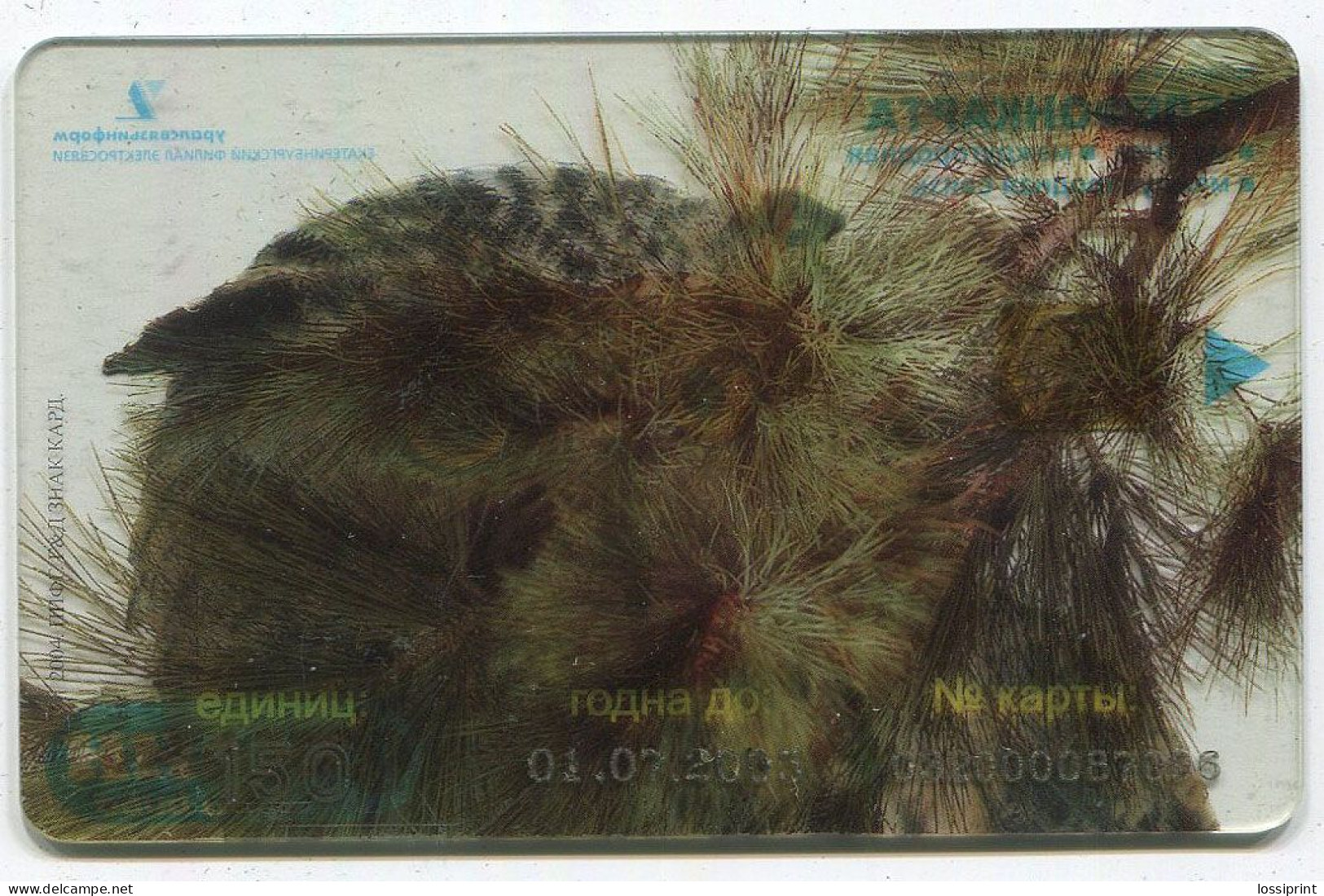 Russia:Used Phonecard, Uralsvjazinform, 150 Units, Owl, 2005 - Russia