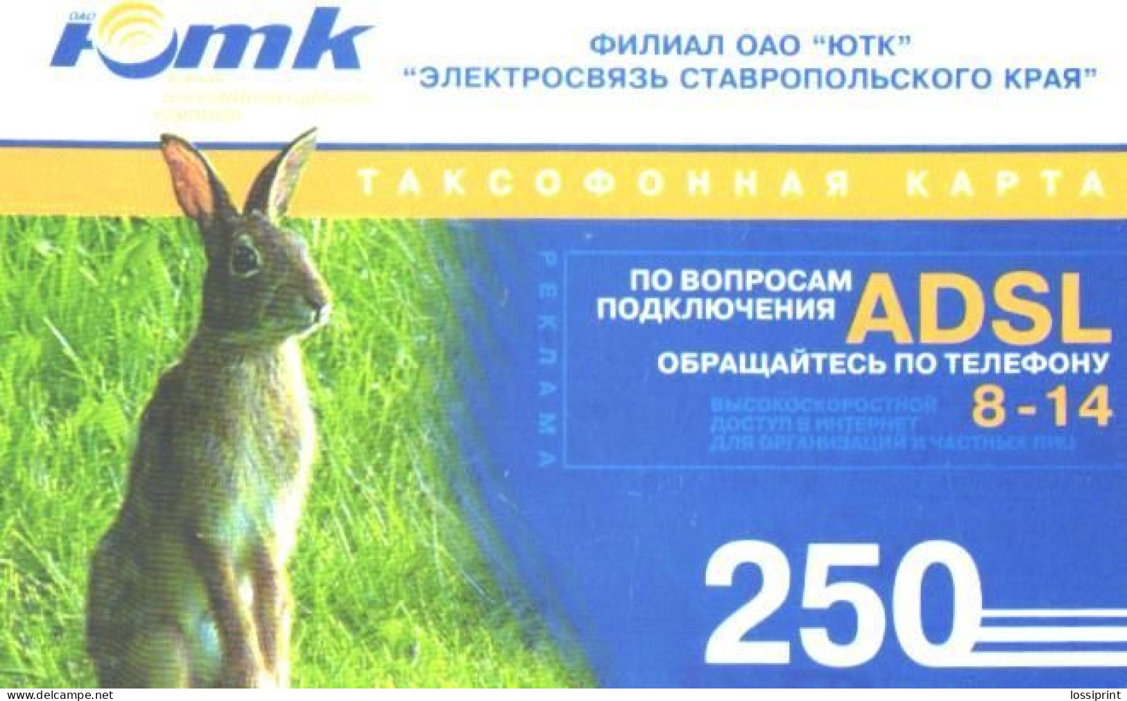 Russia:Used Phonecard, OAO Jutk Branch, Elektrosvjaz Stavropolskogo Kraja, 250 Units, Rabbit - Russia