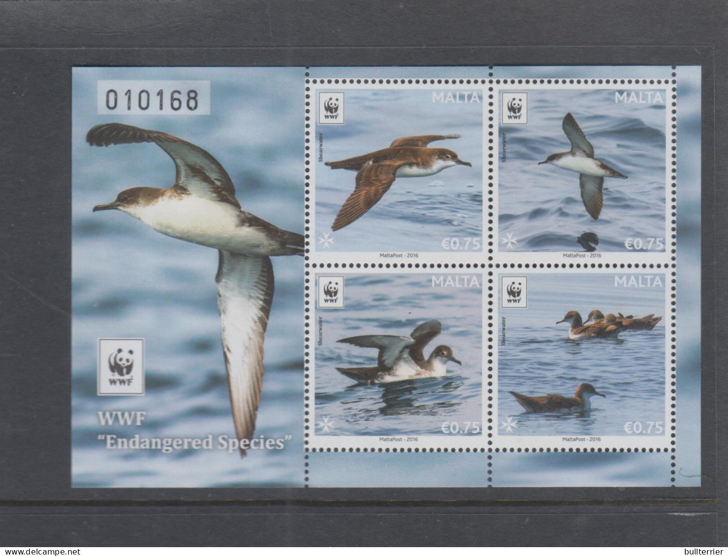 BIRDS - MALTA - 2016- WWF / SHEARWATER  SOUVENIR SHEET MINT NEVER HINGED - Albatro & Uccelli Marini