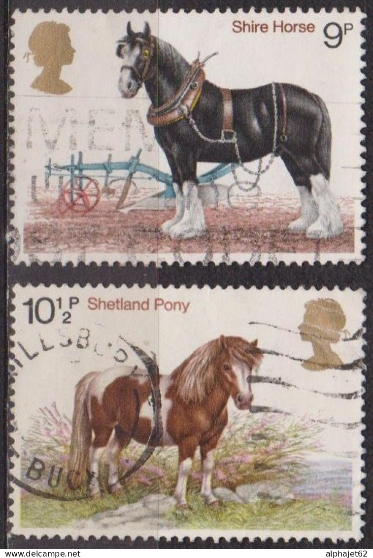 Faune, Animaux Domestiques - GRANDE BRETAGNE - Cheval De Trait, Poney Shetland - N° 868-869 - 1978 - Oblitérés