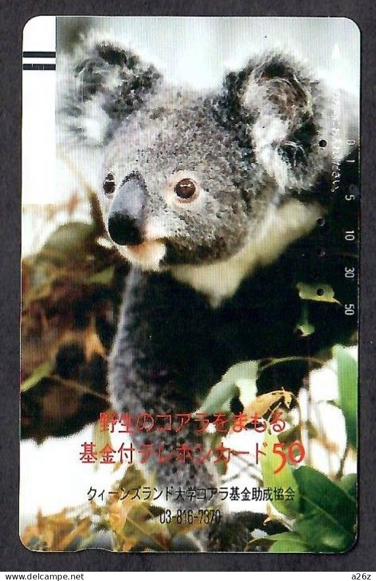 Japan 1V Koala Advertising Used Card - Dschungel