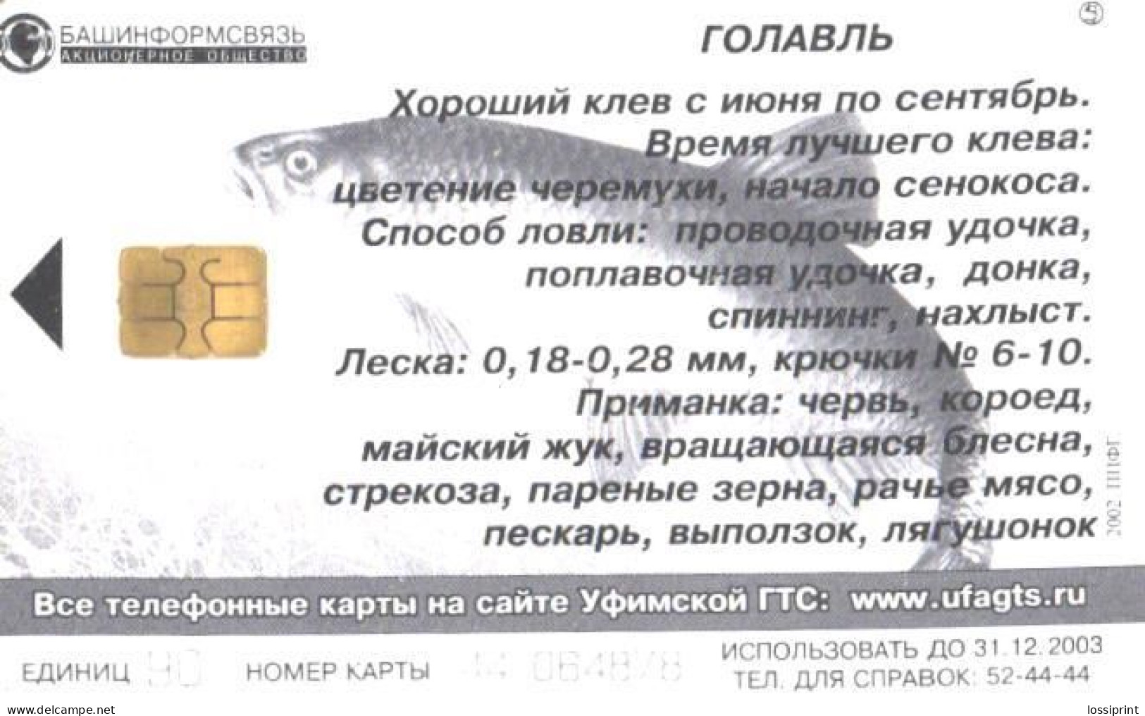 Russia:Used Phonecard, OAO Bashinformsvjaz, 90 Units, Fish, 2003 - Russie