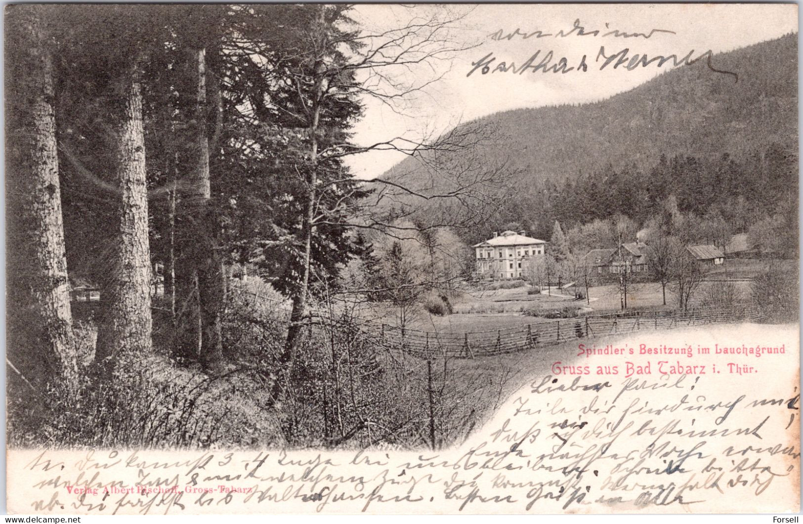 Gruss Aus Bad Tabarz In Thüringen , Spindlers Besitzung Im Bauchagrund (Stempel: Grosstabarz 1903 , Strafporto) - Tabarz