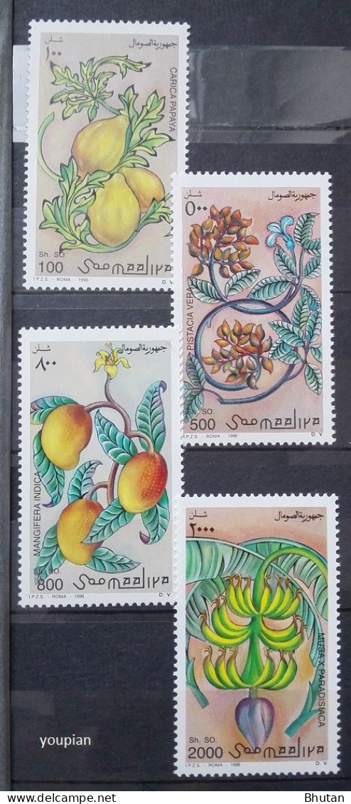 Somalia 1996, Fruits, MHH Stamps Set - Somalia (1960-...)