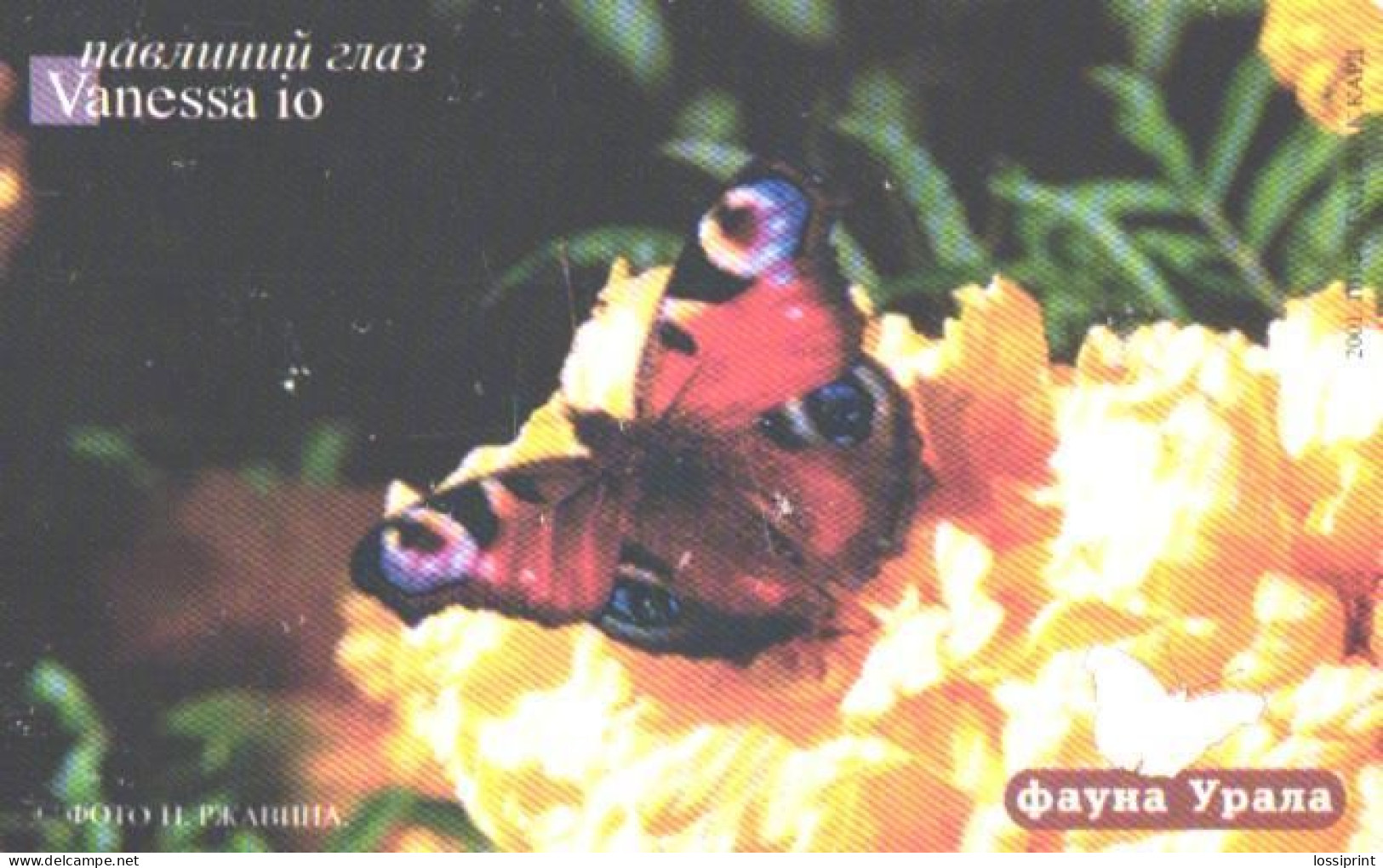 Russia:Used Phonecard, Uraltelekom Sverdlovsk Region, 150 Units, Ural Fauna, Butterfly, Vanessa Io, 2002 - Russie