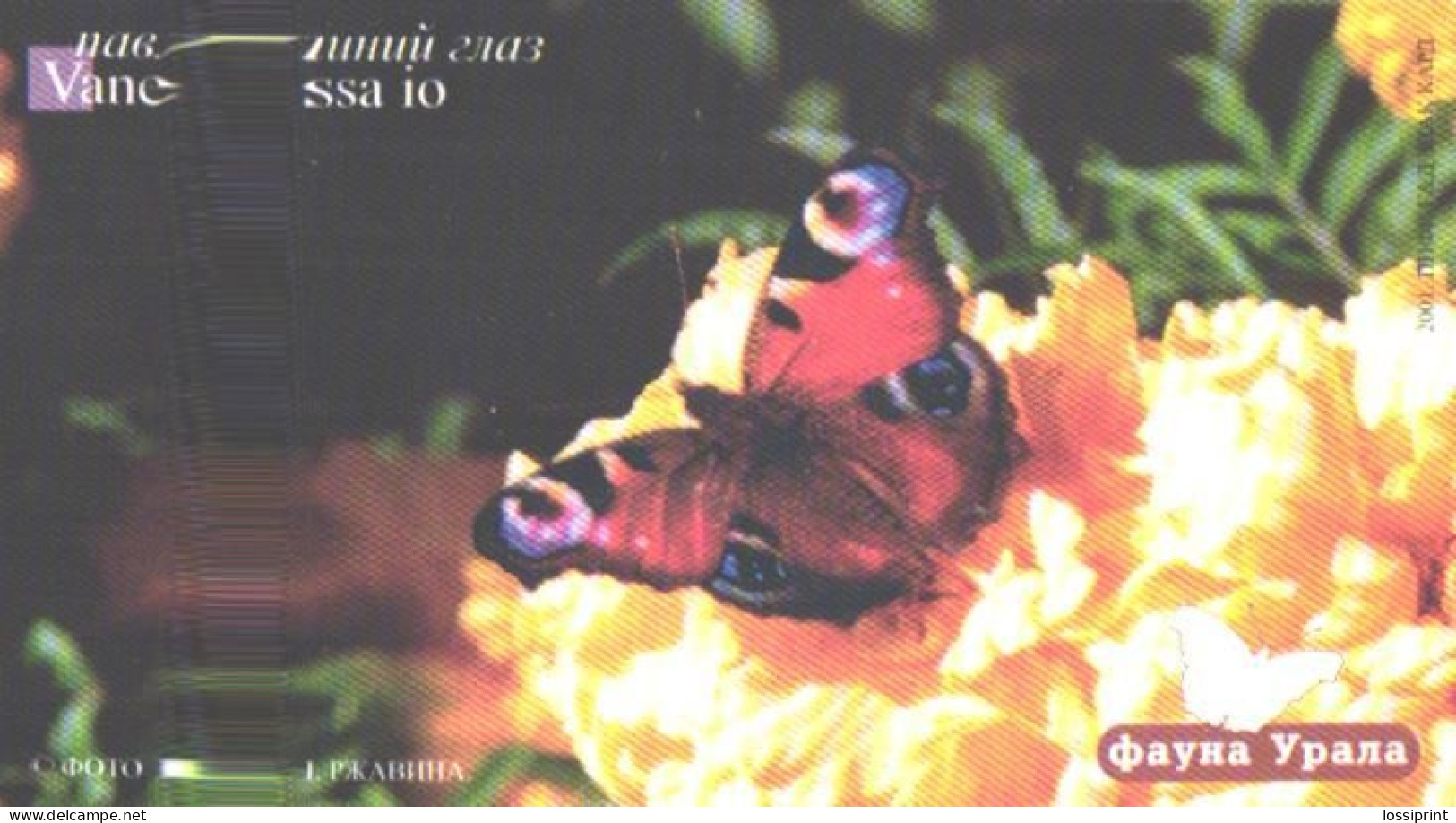 Russia:Used Phonecard, Uraltelekom Sverdlovsk Region, 70 Units, Ural Fauna, Butterfly, Vanessa Io, 2002 - Russia